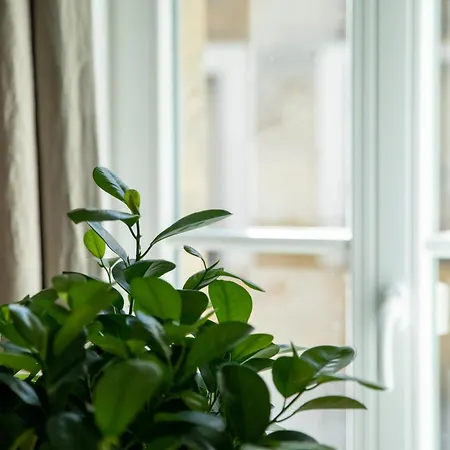 Apartment Im Bayreuther Gassenviertel - Fussgaengerzone Extérieur photo