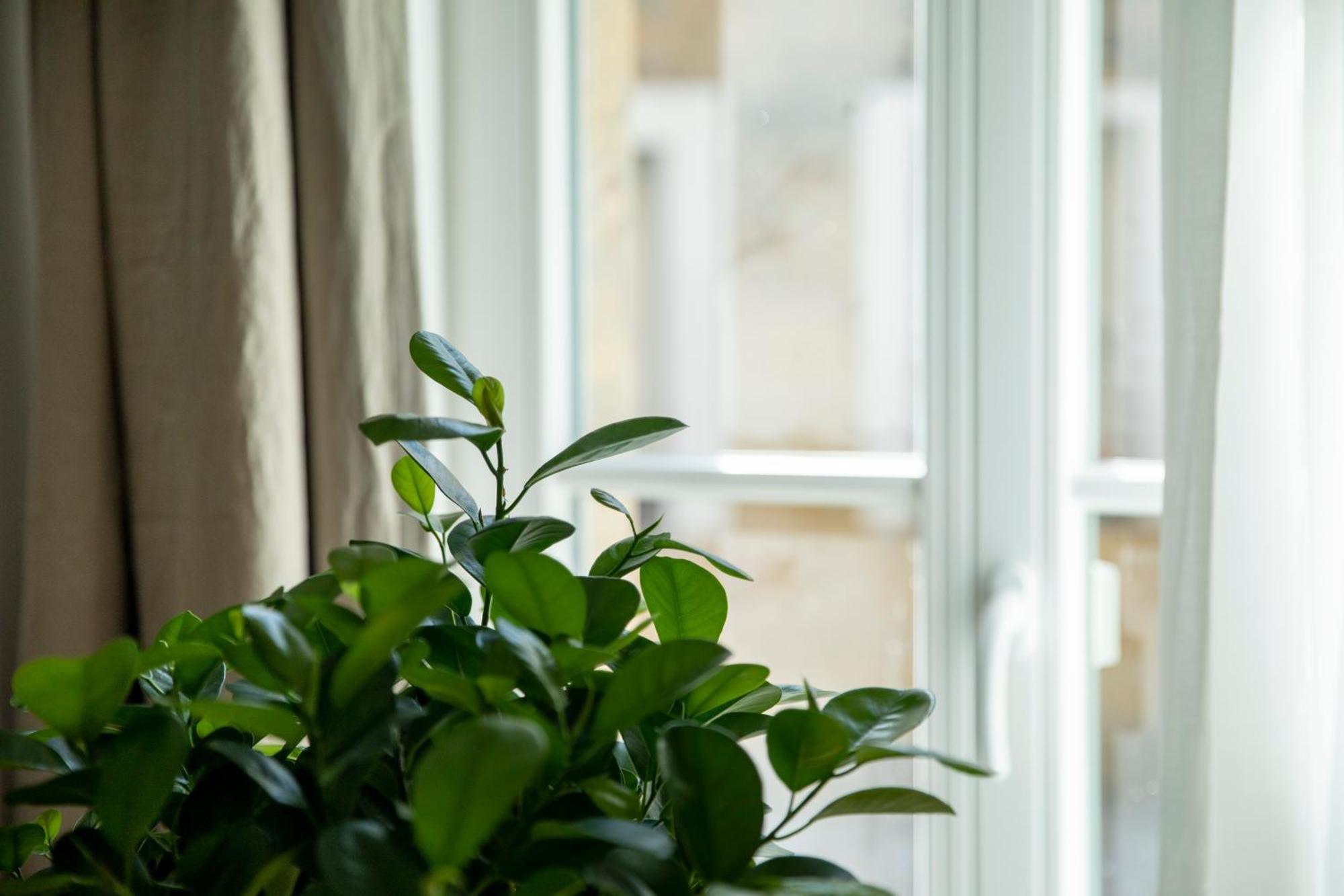 Im Bayreuther Gassenviertel - Fussgaengerzone Apartment